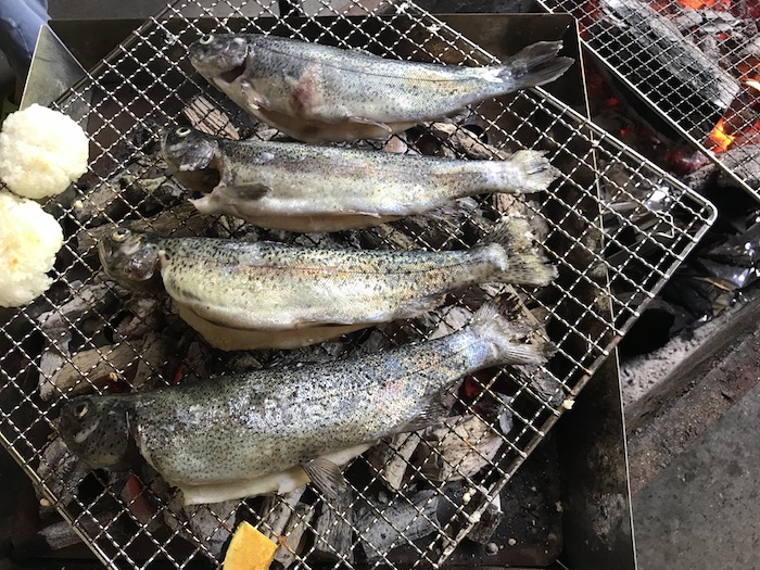 早戸川国際マス釣り場